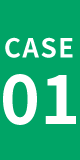 CASE01